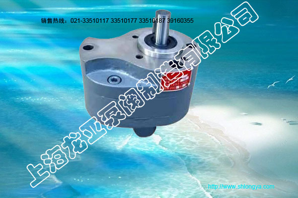 CB-B齒輪油泵,齒輪油泵