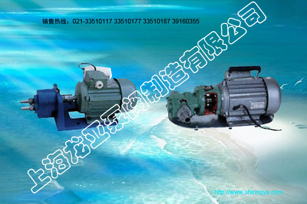 微型齒輪油泵,WCB齒輪油泵,S型齒輪油泵