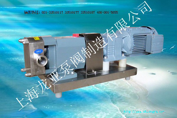 ZB3A轉子泵,轉子泵,凸輪轉子泵