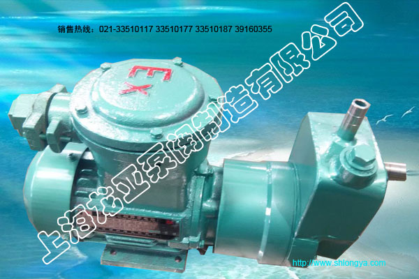 ZCQ20-12-110������,�׹�����������