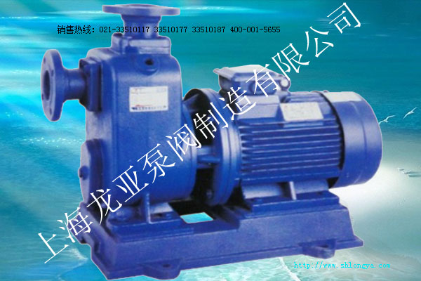 ZXL直聯式臥式自吸泵 ZXL自吸泵,直聯式臥式自吸泵,直聯式自吸泵