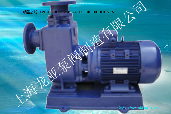 ZXL直聯式臥式自吸泵 ZXL自吸泵,直聯式臥式自吸泵,直聯式自吸泵